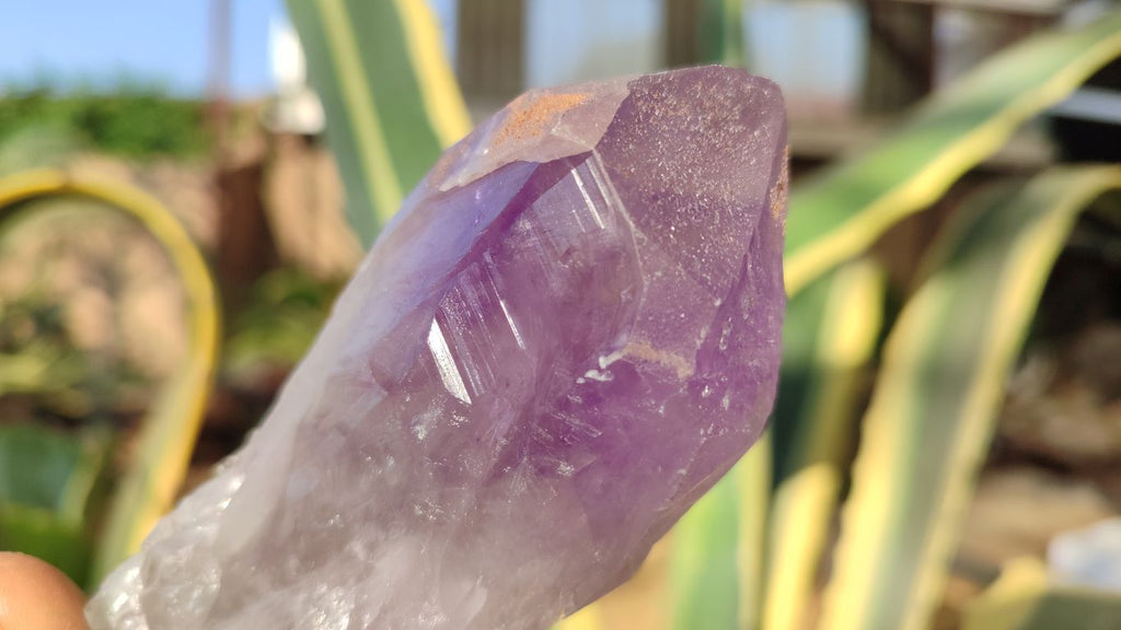 Natural Large Amethyst Crystals x 6 From Zambia - Toprock Gemstones and Minerals 