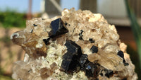 Natural Schorl Black Tourmaline Specimens x 6 From Erongo, Namibia - Toprock Gemstones and Minerals 