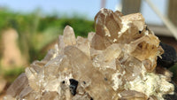 Natural Schorl Black Tourmaline Specimens x 6 From Erongo, Namibia - Toprock Gemstones and Minerals 