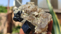 Natural Schorl Black Tourmaline Specimens x 6 From Erongo, Namibia - Toprock Gemstones and Minerals 