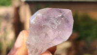 Natural Jacaranda Amethyst Crystals x 70 From Mumbwe, Zambia - Toprock Gemstones and Minerals 