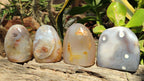 Polished Banded Agate Standing Free Forms  x 4 From West Coast, Madagascar - Toprock Gemstones and Minerals 