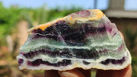 Polished One Side Polished Watermelon Fluorite Pieces  x 12 From Uis, Namibia - Toprock Gemstones and Minerals 