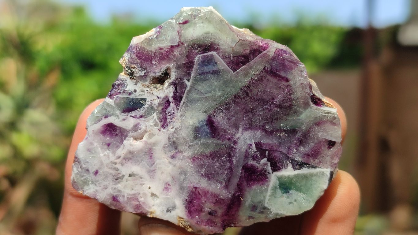 Polished One Side Polished Watermelon Fluorite Pieces  x 12 From Uis, Namibia - Toprock Gemstones and Minerals 