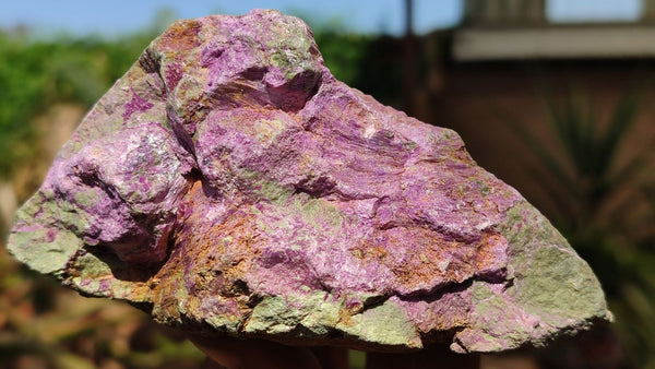 Natural Rough Stichtite & Serpentine Specimens x 6 From Barberton, South Africa