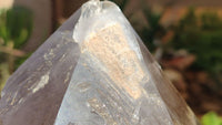 Natural Large Quartz Crystals  x 2 From Southern Africa - Toprock Gemstones and Minerals 