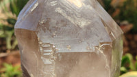 Natural Large Quartz Crystals  x 2 From Southern Africa - Toprock Gemstones and Minerals 