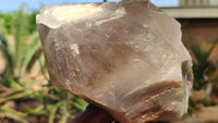 Natural Large Quartz Crystals  x 2 From Southern Africa - Toprock Gemstones and Minerals 