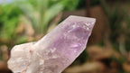 Natural Jacaranda Amethyst Crystals x 35 From Zambia - Toprock Gemstones and Minerals 
