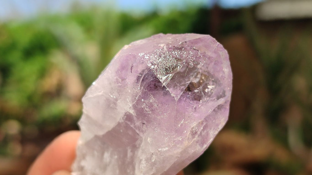 Natural Jacaranda Amethyst Crystals x 35 From Zambia - Toprock Gemstones and Minerals 