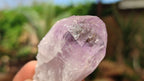 Natural Jacaranda Amethyst Crystals x 35 From Zambia - Toprock Gemstones and Minerals 
