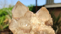 Natural Smokey Phantom Quartz Clusters x 6 From Luena, Congo - Toprock Gemstones and Minerals 
