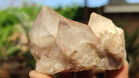 Natural Smokey Phantom Quartz Clusters x 6 From Luena, Congo - Toprock Gemstones and Minerals 