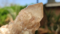 Natural Smokey Phantom Quartz Clusters x 6 From Luena, Congo - Toprock Gemstones and Minerals 