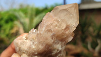 Natural Smokey Phantom Quartz Clusters x 6 From Luena, Congo - Toprock Gemstones and Minerals 