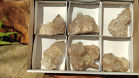 Natural Smokey Phantom Quartz Clusters x 6 From Luena, Congo - Toprock Gemstones and Minerals 