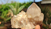 Natural Smokey Phantom Quartz Clusters x 6 From Luena, Congo - Toprock Gemstones and Minerals 