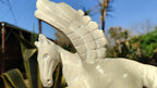 Polished White Marble Pegasus Carving x 1 From Zimbabwe - Toprock Gemstones and Minerals 