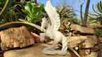 Polished White Marble Pegasus Carving x 1 From Zimbabwe - Toprock Gemstones and Minerals 