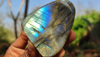 Polished Labradorite Standing Free Forms x 6 From Tulear, Madagascar - Toprock Gemstones and Minerals 