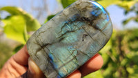 Polished Labradorite Standing Free Forms x 6 From Tulear, Madagascar - Toprock Gemstones and Minerals 