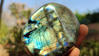 Polished Labradorite Standing Free Forms x 6 From Tulear, Madagascar - Toprock Gemstones and Minerals 