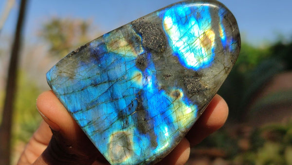 Polished Labradorite Standing Free Forms x 6 From Tulear, Madagascar - Toprock Gemstones and Minerals 