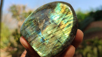 Polished Labradorite Standing Free Forms x 6 From Tulear, Madagascar - Toprock Gemstones and Minerals 