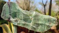 Polished One Side Polished Watermelon Fluorite Pieces  x 4 From Uis, Namibia - Toprock Gemstones and Minerals 