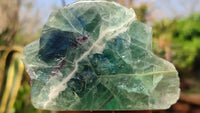 Polished One Side Polished Watermelon Fluorite Pieces  x 4 From Uis, Namibia - Toprock Gemstones and Minerals 