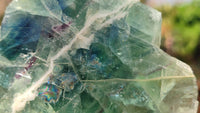 Polished One Side Polished Watermelon Fluorite Pieces  x 4 From Uis, Namibia - Toprock Gemstones and Minerals 