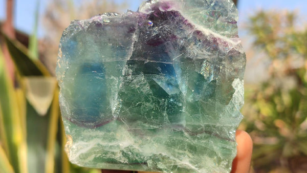 Polished One Side Polished Watermelon Fluorite Pieces  x 4 From Uis, Namibia - Toprock Gemstones and Minerals 