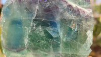 Polished One Side Polished Watermelon Fluorite Pieces  x 4 From Uis, Namibia - Toprock Gemstones and Minerals 