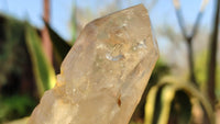 Polished Mixed Quartz Points x 4 From Madagascar - Toprock Gemstones and Minerals 