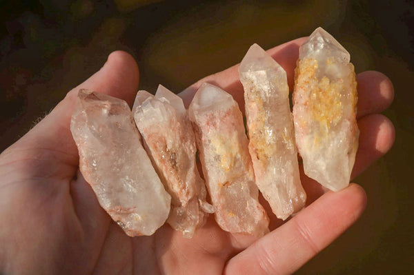 Natural Pink Hematoid Candle Quartz Crystals  x 35 From Madagascar - Toprock Gemstones and Minerals 