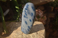 Polished Blue Spotted Spinel Quartz Standing Free Forms x 2 From Madagascar - Toprock Gemstones and Minerals 