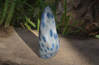 Polished Blue Spotted Spinel Quartz Standing Free Forms x 2 From Madagascar - Toprock Gemstones and Minerals 