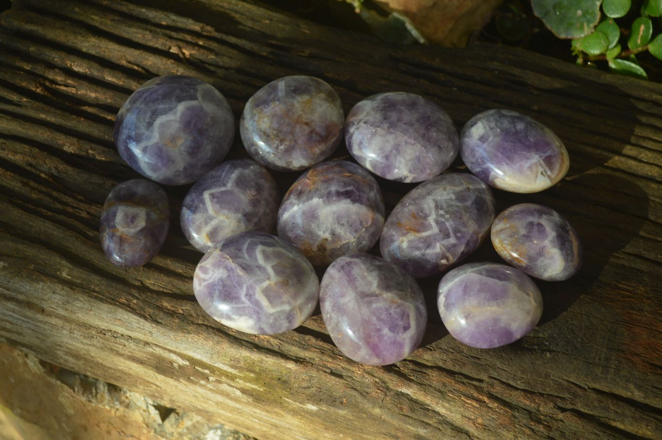 Polished Dream Amethyst Galet / Palm Stones x 12 From Madagascar - Toprock Gemstones and Minerals 