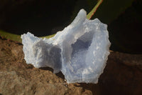 Natural Etched Blue Chalcedony Specimens  x 3 From Nsanje, Malawi - Toprock Gemstones and Minerals 