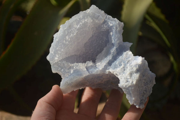 Natural Etched Blue Chalcedony Specimens  x 3 From Nsanje, Malawi - Toprock Gemstones and Minerals 
