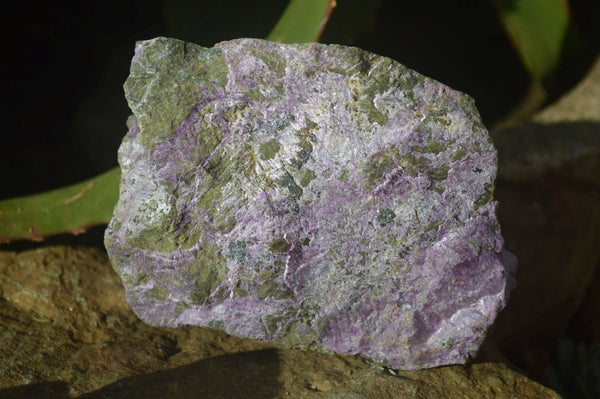 Natural Rough Stichtite & Serpentine Specimens x 4 From Barberton, South Africa