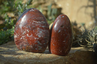 Polished Red Jasper Standing Free Forms  x 3 From Southern Africa - Toprock Gemstones and Minerals 