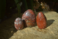 Polished Red Jasper Standing Free Forms  x 3 From Southern Africa - Toprock Gemstones and Minerals 