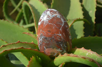 Polished Red Jasper Standing Free Forms  x 3 From Southern Africa - Toprock Gemstones and Minerals 