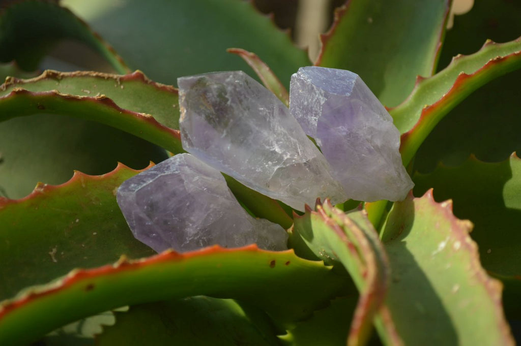 Natural Jacaranda Amethyst Crystals x 35 From Mumbwe, Zambia - Toprock Gemstones and Minerals 