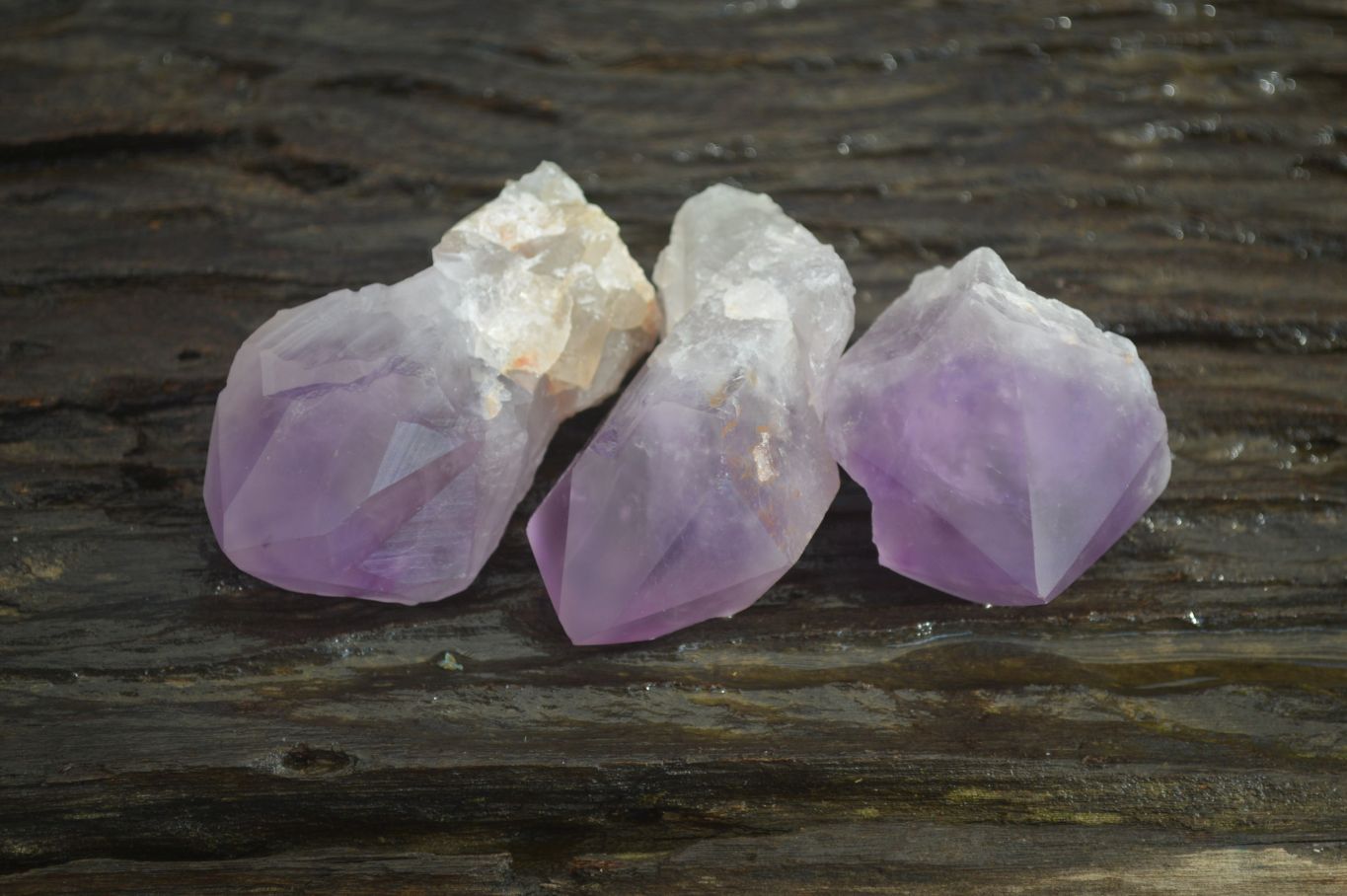 Polished Amethyst Crystals x 12 From Mumbwe, Zambia - Toprock Gemstones and Minerals 