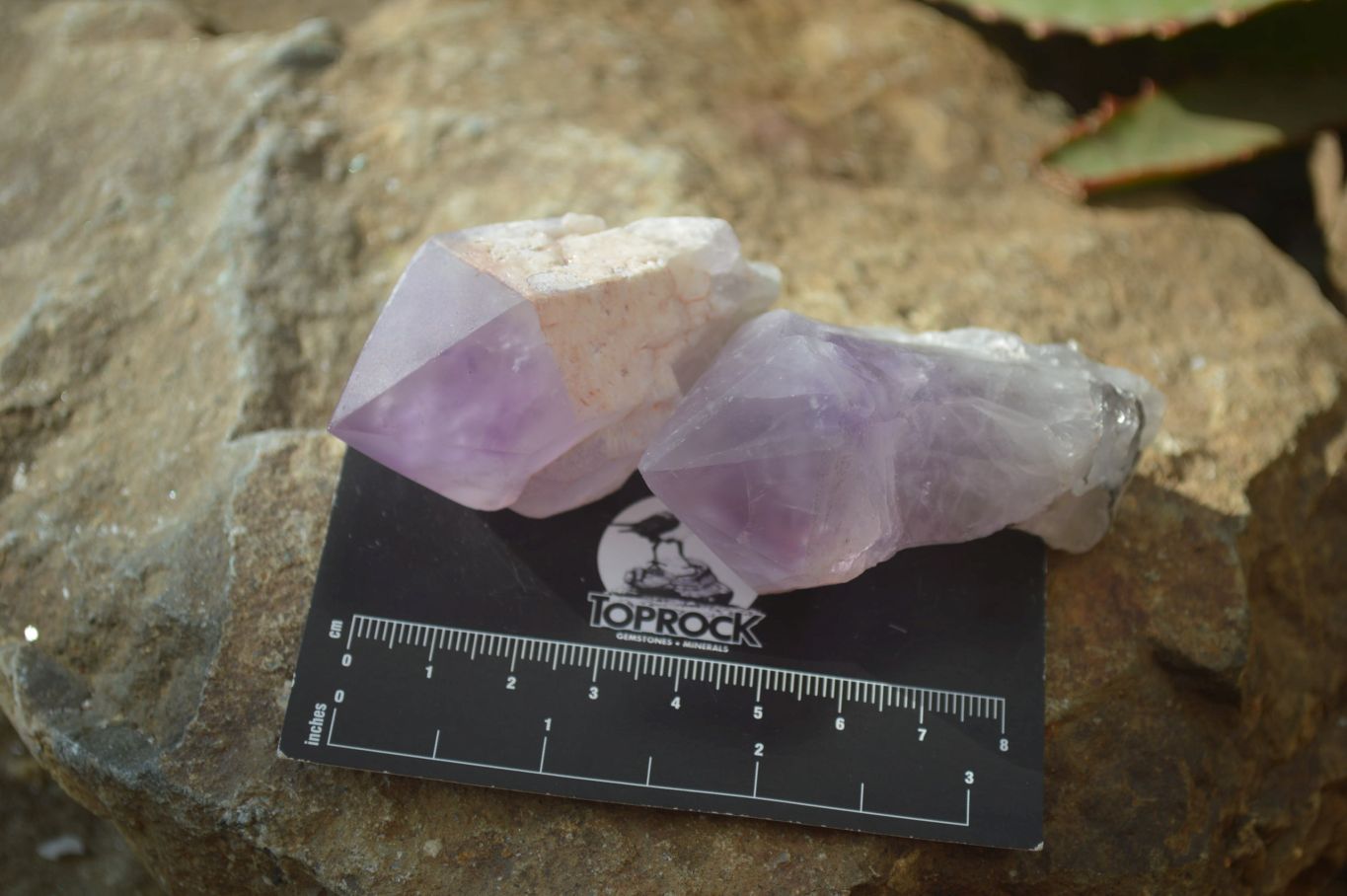 Polished Amethyst Crystals x 12 From Mumbwe, Zambia - Toprock Gemstones and Minerals 