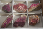 Natural Pink Salrose Cobaltion Dolomite Specimens x 6 From Kakanda, Congo - Toprock Gemstones and Minerals 