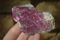 Natural Pink Salrose Cobaltion Dolomite Specimens x 6 From Kakanda, Congo - Toprock Gemstones and Minerals 