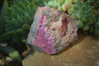 Natural Pink Salrose Cobaltion Dolomite Specimens x 6 From Kakanda, Congo - Toprock Gemstones and Minerals 